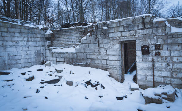 istock building ruins in the forest 1080203680