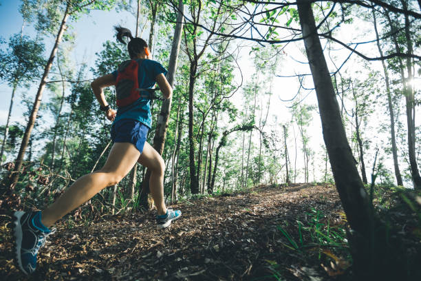 istock Woman trail runner running in forest 1080204436