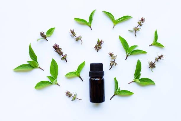 istock Sweet basil essential oil in a glass bottle on white background. 1080207048