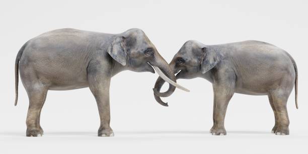 istock Realistic 3D Render of Asian Elephants 1080211900