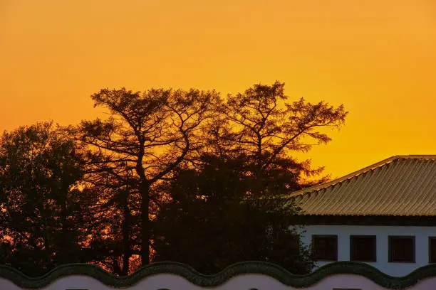Photo of roof of traditional chinese temple and tree silhouette against  orange sunset sky