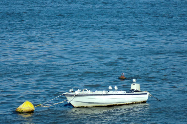 istock White boat in the marina on the river 1080217414
