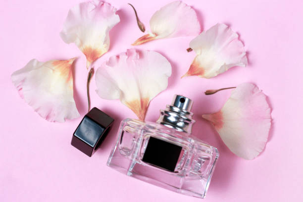 istock Perfume bottle and flower petals on pink background, top view, toned 1080220130