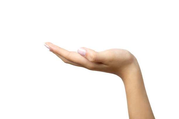istock Beautiful woman hand showing 1080223504