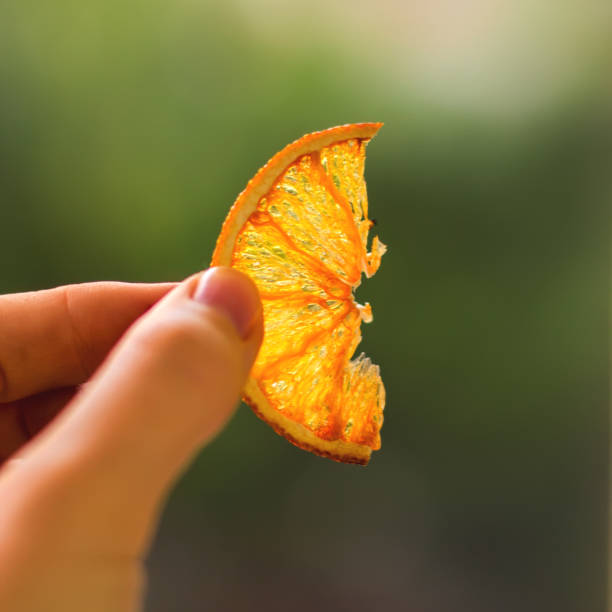 istock Oranges dried in the oven 1080223742