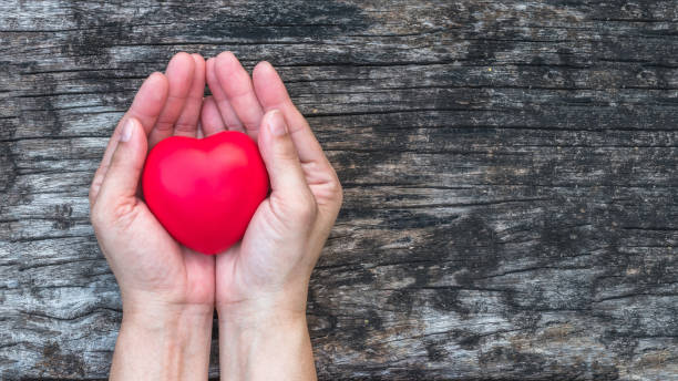 concetto di malattie cardiovascolari mediche per l'assistenza cardiaca e donazione di donatori di organi per la vita che danno campagna di beneficenza con sano cuore d'amore rosso sul supporto della mano della donna che invecchia - condition foto e immagini stock