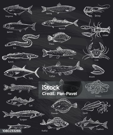 Cisco Fish Icon Cisco Fish