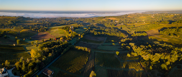 Aerial view Bordeaux Vineyard at sunrise, Entre deux mers, Langoiran, Gironde, France