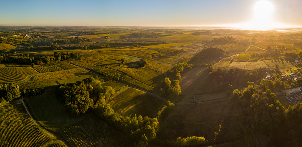 Aerial view Bordeaux Vineyard at sunrise, Entre deux mers, Langoiran, Gironde, France