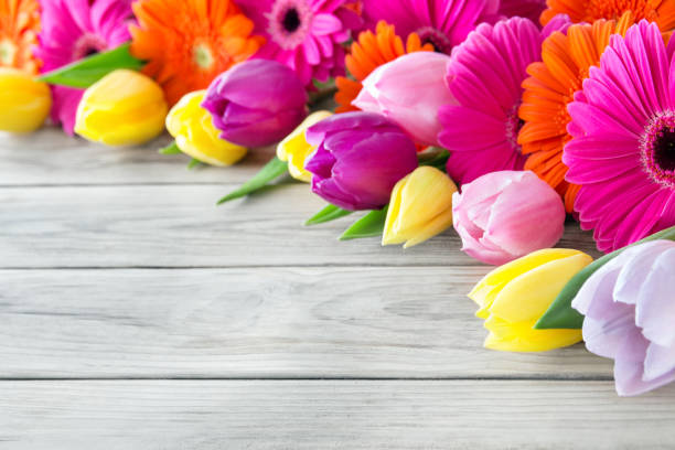istock Gerbera and tulips against wooden background 1080235910