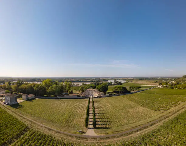 Aerial wiev Fronsac Vineyard landscape, Vineyard south west of France, Europe