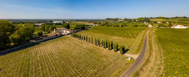 Aerial wiev Fronsac Vineyard landscape, Vineyard south west of France, Europe