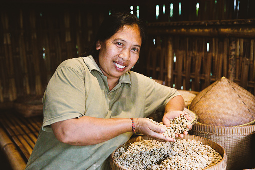 Middle woman-worker prepares coffee beans by traditional way on the farm on Bali island in Indonesia