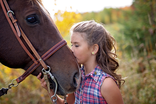 in a beautiful Autumn season of a young girl and horse in a field