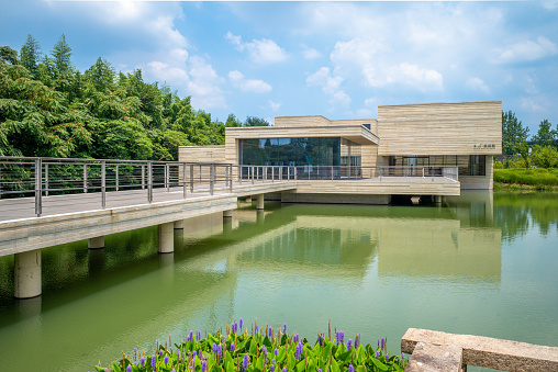 this museum located in wuzhen, zhejiang, china, is dedicated to the renowned hometown artist or writer, Mu Xin.