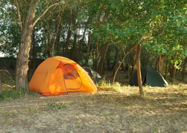 istock Camping tent in the forest 1080290610