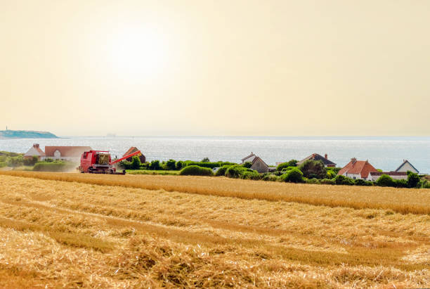 istock Combine harvester in action 1080295324