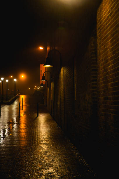 istock Rainy Night in the Big City 1080296684