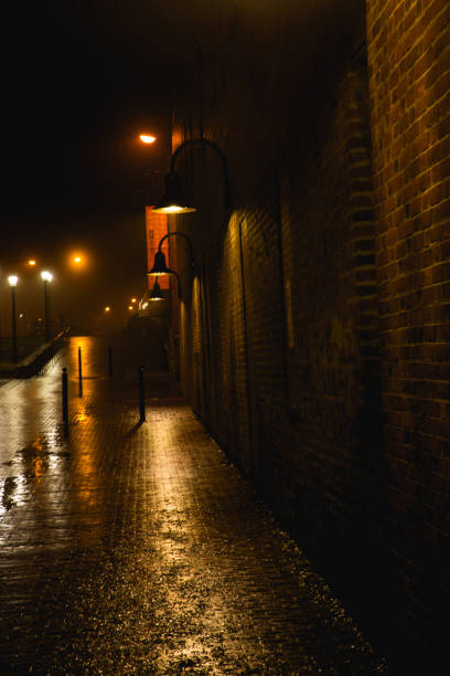 istock Rainy Night in the Big City 1080296718