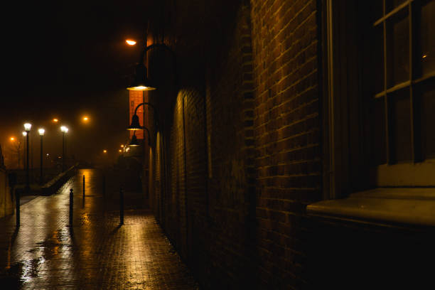 istock Rainy Night in the Big City 1080296744