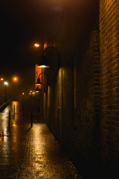 istock Rainy Night in the Big City 1080296764