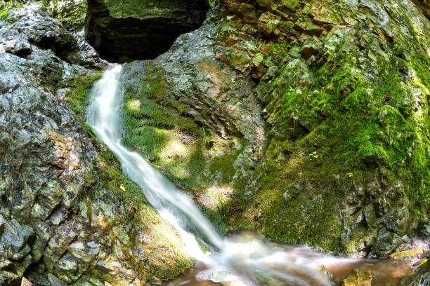 istock Small mountain waterfall on the rocks covered with moss in the forest. processed in Nik Color Efex Pro 1080306654