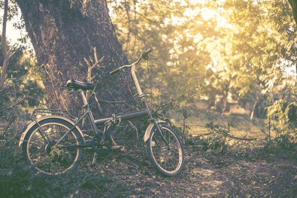 istock Vintage Bicycle in a park with light tone. 1080306720