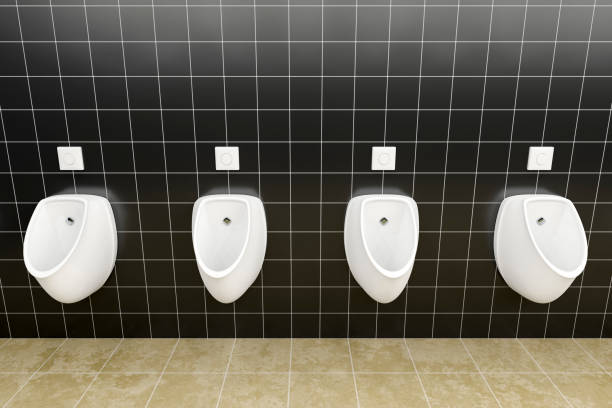 istock a public restroom with urinals row 1080308264