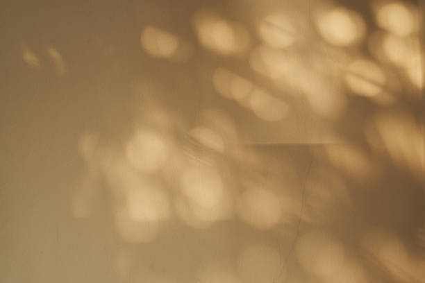 istock Background of sunlight and shadow on the wall 1080309778