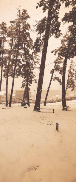 istock Snowfall. Trees in the snow. Mountain ski resort Bakuriani 1080310062