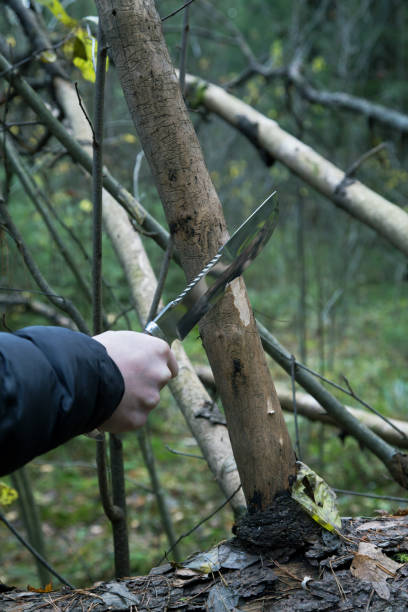 istock man's hand with a hunting knife cuts a tree branch 1080312570