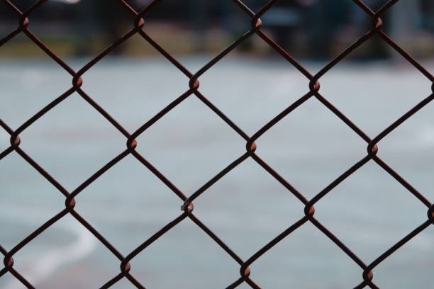 istock steel wire net fence with blurred green background 1080315290