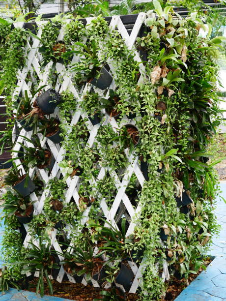 istock Creative garden design in the pots 1080320098