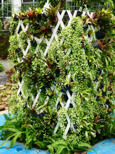 istock Creative garden design in the pots 1080322258