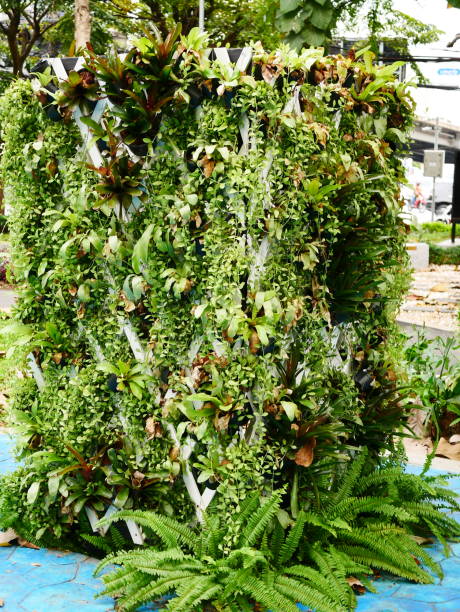 istock Creative garden design in the pots 1080322272