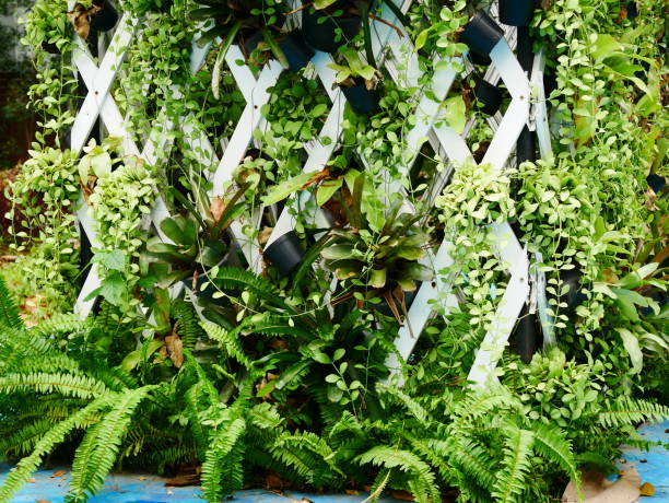 istock Creative garden design in the pots 1080322366