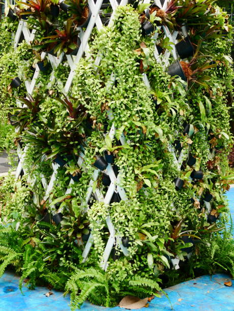 istock Creative garden design in the pots 1080322458