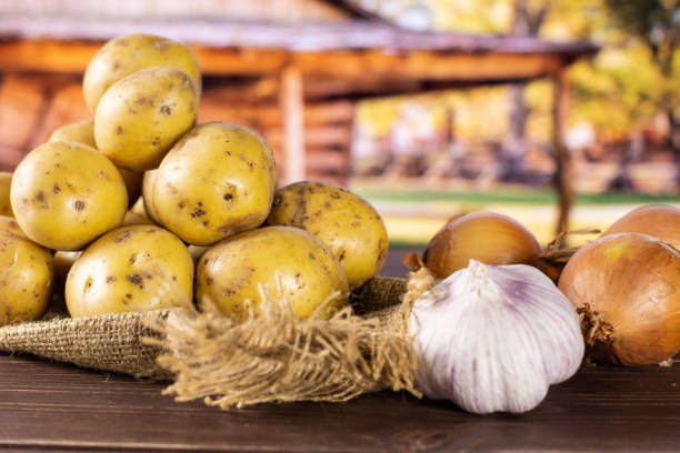 recipe step by step baked potatoes with onion with cart - gunny sack imagens e fotografias de stock