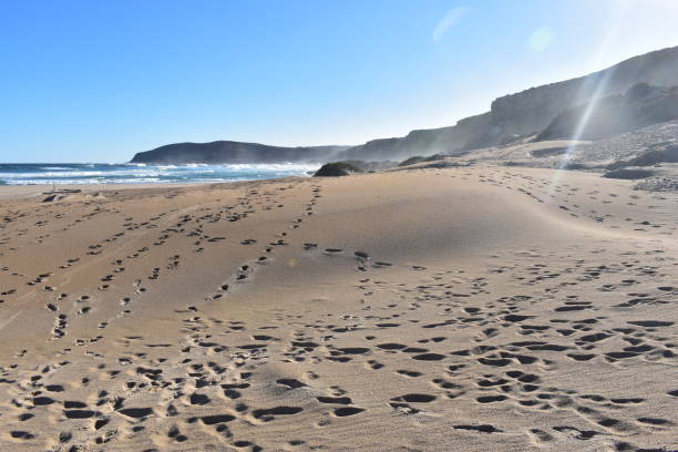 istock Along the Garden Route 1080332166