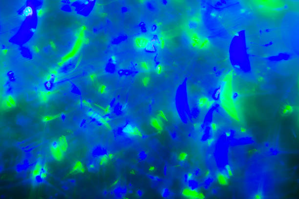 istock Abstract Bokeh Texture. Colorful blue Defocused background. Blurred bright light. 1080333632