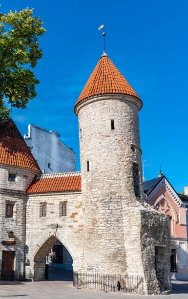 istock Tallinn in Estonia 1080338424