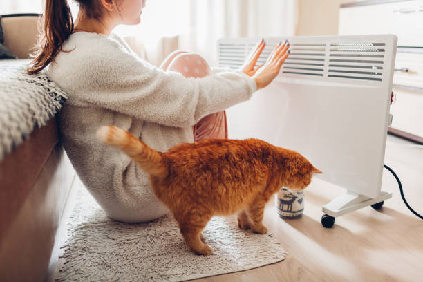 Using heater at home in winter. Woman warming her hands with cat. Heating season. Using heater at home in winter. Woman warming her hands sitting by device with cat and wearing warm clothes. Heating season. electric heater stock pictures, royalty-free photos & images