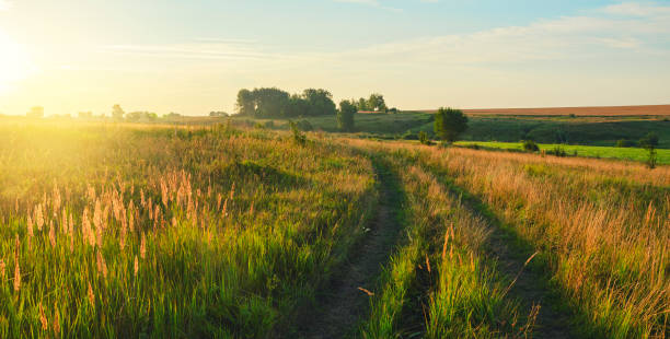 istock Sunny summer landscape with ground country road passing through the fields and meadows 1080344716