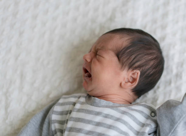 istock Newborn Baby Boy 1080345236