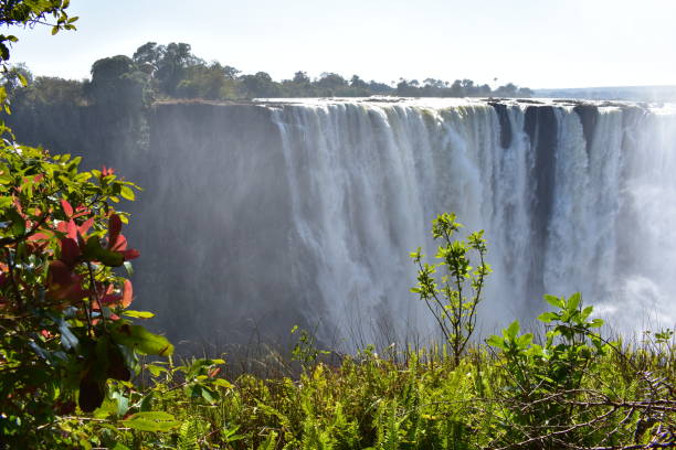 istock Victoria Falls National Park 1080346718