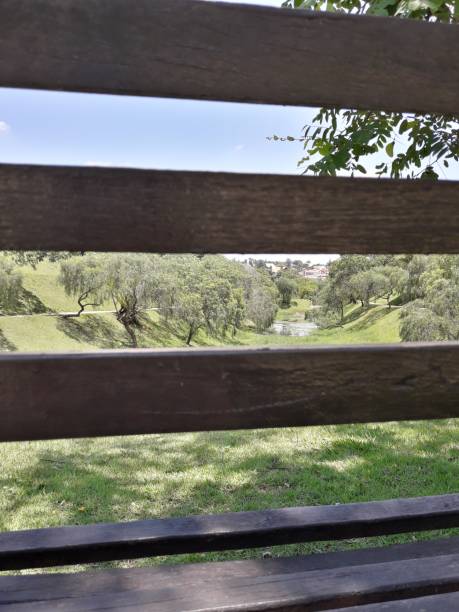 istock Landscape seen behind a wooden bench 1080352558