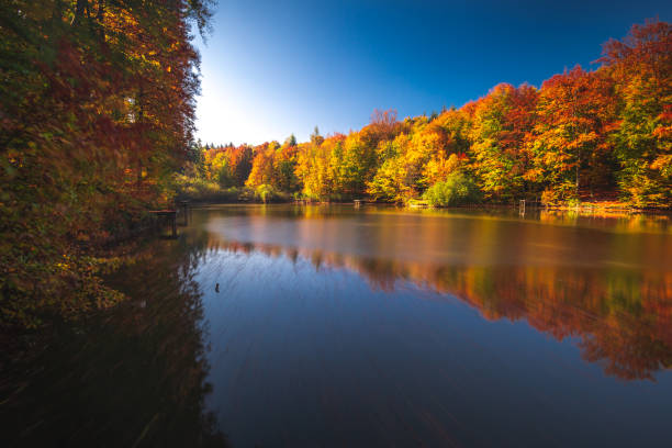istock Autumn in the forest. Fall scene with forest lake in Hungary 1080356806