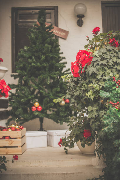 istock Decorating the house for holidays 1080356858