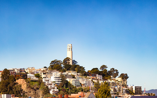 San Francisco USA Telegaph hill and Coit Tower with blue clear sky on a sunny midday.