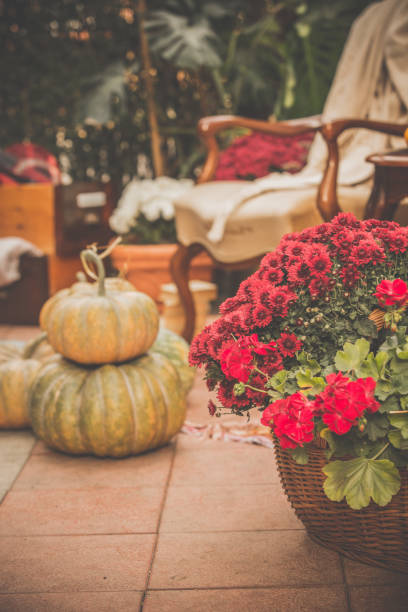 istock Autumn outdoor decor 1080360050